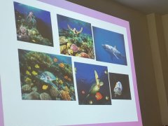 487081777_1190212082890384_1885730371763837355_n (1).jpg